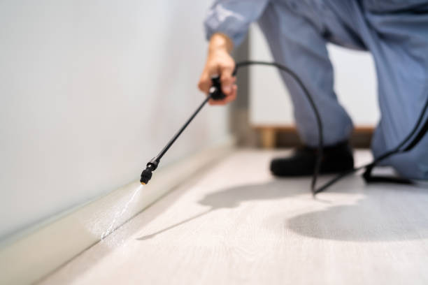 Certified termite inspector examining foundation in Saginaw