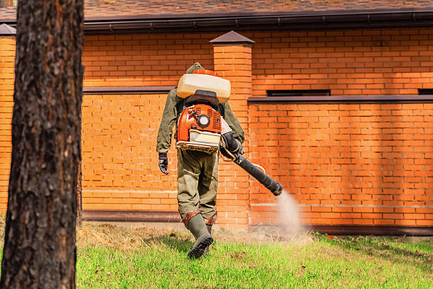 Top rated local Mosquito Control specialists in Saginaw, MI